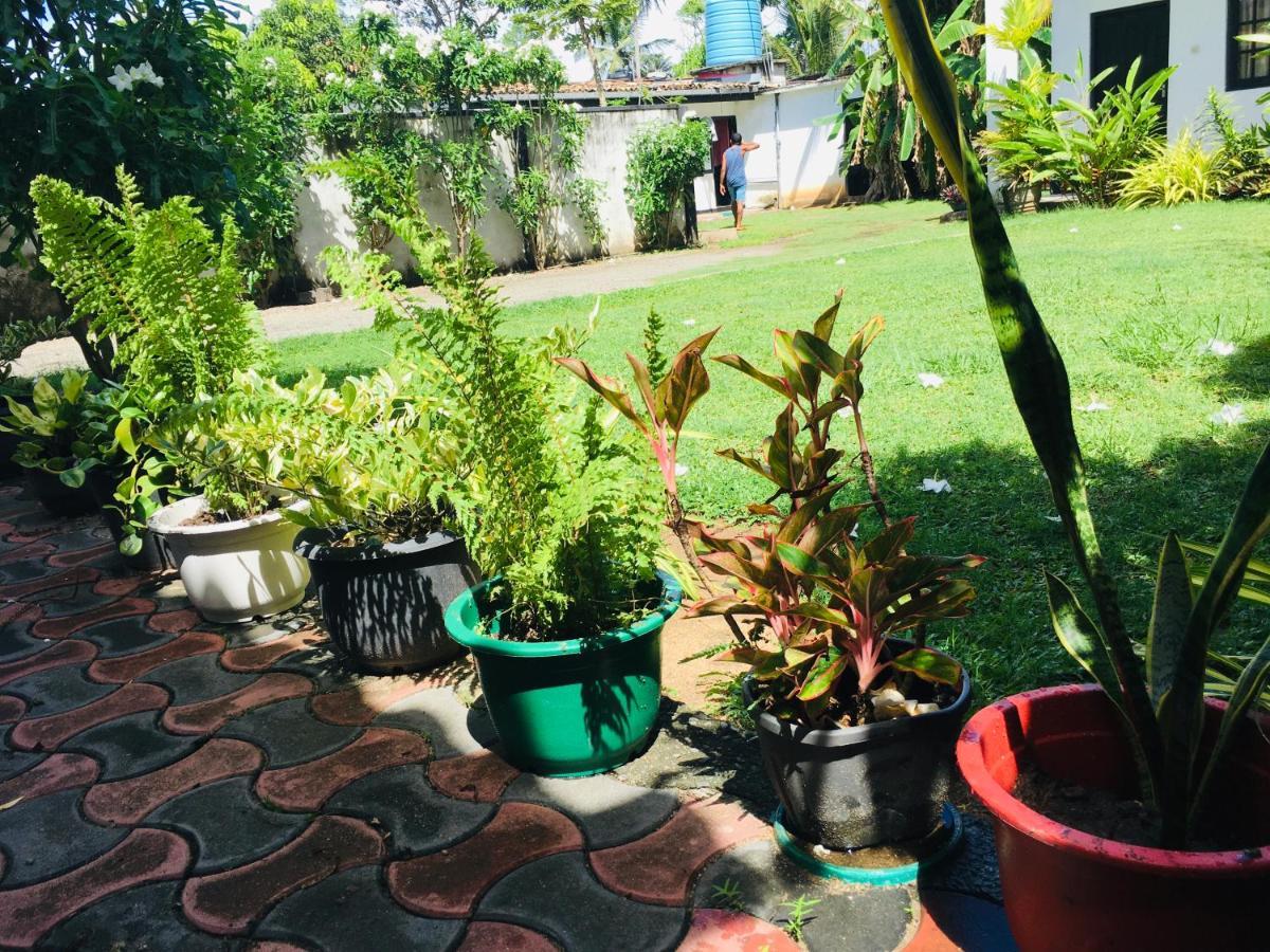 White Horse Mirissa Hotel Ngoại thất bức ảnh